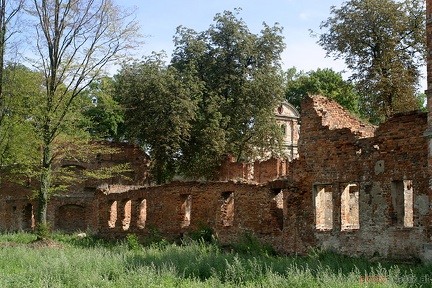 Zamek Siedlisko (20060815 0058)